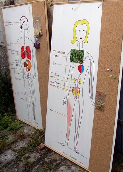 2008 06 Journée des adhérents 02